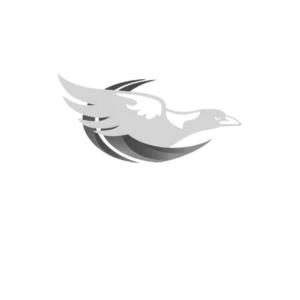 Athletics South Australia