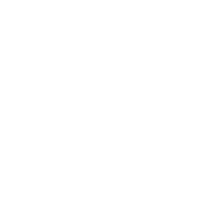 Netball South Australia