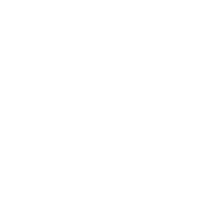 SANFL
